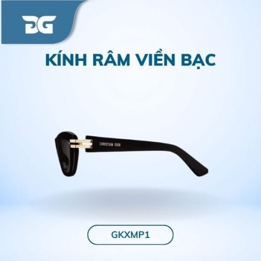 kính râm viền bạc